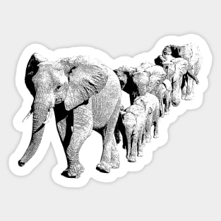 Elephant Family in Procession | African Wildlife Sticker